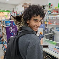 ¿A qué llamamos bienestar animal? | Foto:CONTENT NOTICIAS