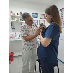 ¿A qué llamamos bienestar animal? | Foto:CONTENT NOTICIAS