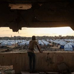 Un hombre palestino observa un nuevo campamento de desplazados establecido por el Comité Egipcio en Nuseirat, Franja de Gaza. Foto de Eyad Baba / AFP | Foto:AFP