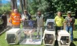 Rescatan ejemplares de fauna silvestre en un complejo turístico entrerriano
