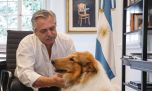 Murió Dylan, el perro de Alberto Fernández: "Hoy, con mucho dolor, te despido"