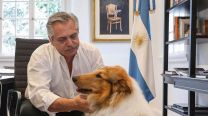 Murió Dylan, el perro de Alberto Fernández: "Hoy, con mucho dolor, te despido"