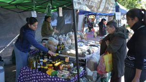 Inflación en el NEA