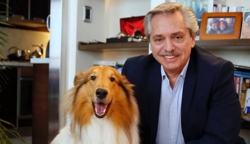 Alberto Fernández junto a su perro Dylan