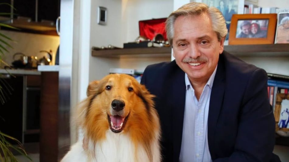 Alberto Fernández junto a su perro Dylan