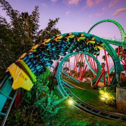 Seaworld y Aquatica, junto Visitas a Busch Gardens en Tampa y el tentador nado con delfines en Discovery Cove, un combo perfecto en Orlando.