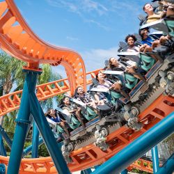 Seaworld y Aquatica, junto Visitas a Busch Gardens en Tampa y el tentador nado con delfines en Discovery Cove, un combo perfecto en Orlando.