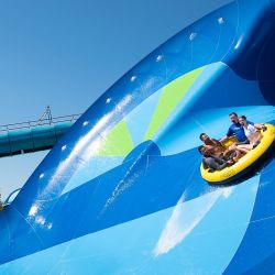 Seaworld y Aquatica, junto Visitas a Busch Gardens en Tampa y el tentador nado con delfines en Discovery Cove, un combo perfecto en Orlando.