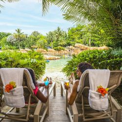 Seaworld y Aquatica, junto Visitas a Busch Gardens en Tampa y el tentador nado con delfines en Discovery Cove, un combo perfecto en Orlando.