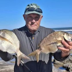 Tras sorprender con las primeras lisas en el Quequén Salado, Uzidinger ahora volvió a la carga con los sargos en los famosos pedregales cercanos a Claromecó, un ambiente que conoce al detalle.