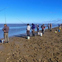 La continuidad del periplo 2025 será en diciembre, en la escollera sur marplatense, momento que permitirá definir y coronar los campeones anuales, tanto por instituciones como individuales, al igual que conocer los clasificados a los próximos nacionales federativos y de clubes. 