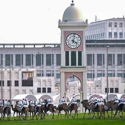 Guardias reales montados en camellos patrullan alrededor del Amiri Diwan en Doha. Foto de MAHMUD HAMS / AFP | Foto:AFP