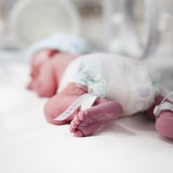 Neonatologia | Foto:CEDOC