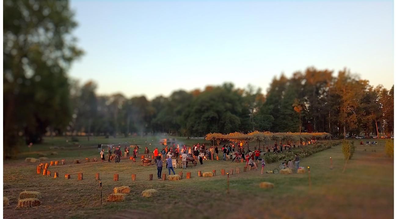 Tres Pinos: vivir en la naturaleza mientras compensás tu huella de carbono