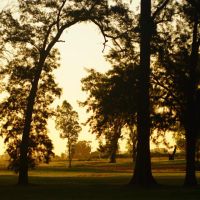 Tres Pinos: vivir en la naturaleza mientras compensás tu huella de carbono