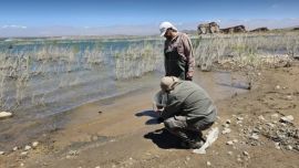 1311_cuestadelviento