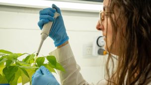 VACUNA CONTRA PLANTAS