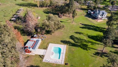 Tres Pinos: vivir en la naturaleza mientras compensás tu huella de carbono