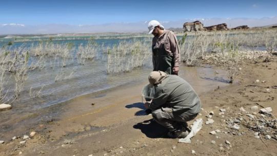 1311_cuestadelviento