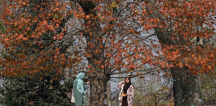 Mujeres toman fotografías entre plátanos orientales, también conocidos como árboles de chinar, durante el otoño en Srinagar. Foto de Tauseef MUSTAFA / AFP