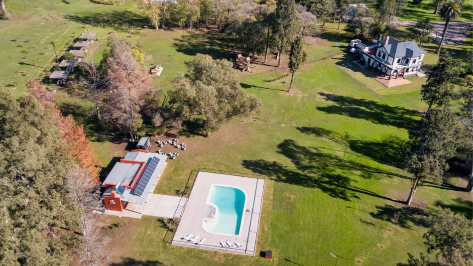 Tres Pinos: vivir en la naturaleza mientras compensás tu huella de carbono