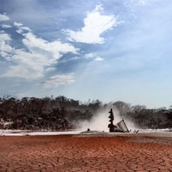  Cerca de 20 hectáreas de bosques nativos se encuentran directamente afectadas