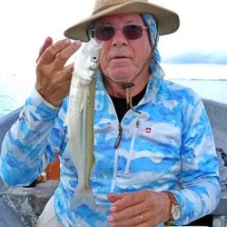 1411_mapa_pique_pesca