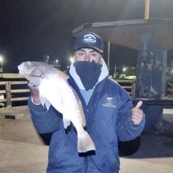 1411_mapa_pique_pesca