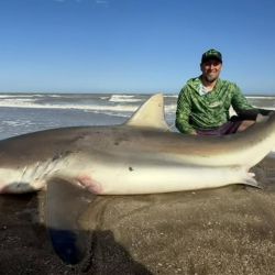 1411_mapa_pique_pesca