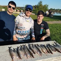 1411_mapa_pique_pesca