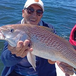 1411_mapa_pique_pesca