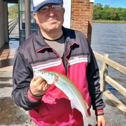 1411_mapa_pique_pesca