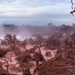 El pozo petrolero L.O. X-10 está ubicado en el área hidrocarburífera “Puesto Guardián”.