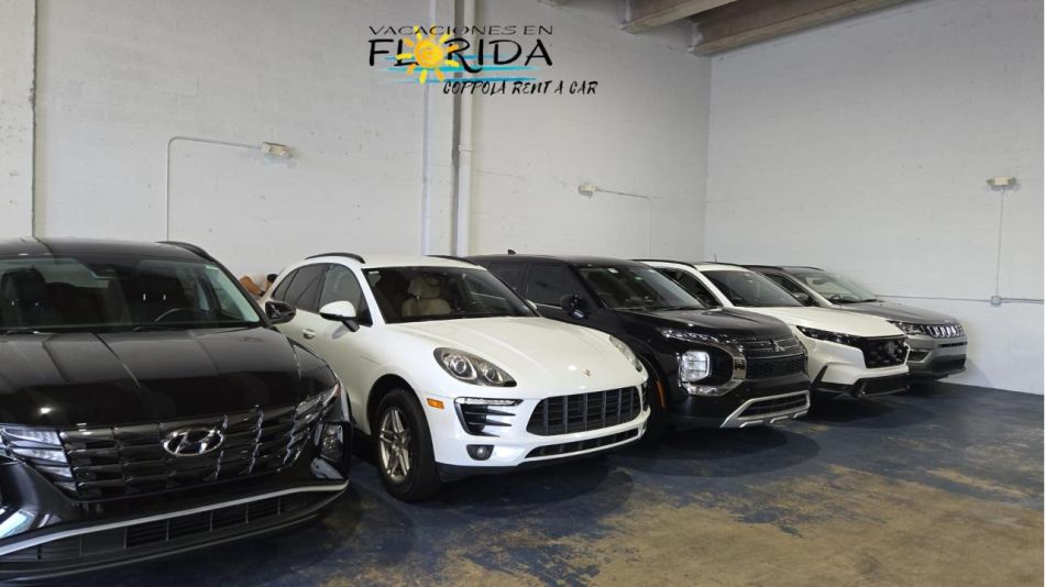 Cuenta regresiva para la Miami Art Week: ¡Alquilá tu auto y no te pierdas de nada! 