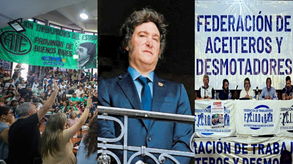 Asociación de Trabajadores del Estado, Javier Milei y la Federación Aceitera y Desmotadora de Algodón 20251113