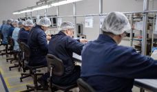 151125_trabajo_pyme_bloomberg_g