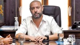 151125_diego_spagnuolo_coimas_andis_cedoc_g