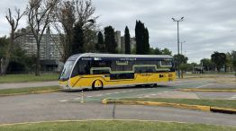 Trambus_largan