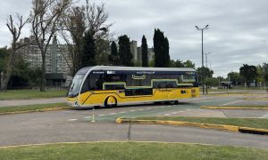 Trambus_largan