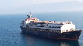 Casi 3 mil vacas uruguayas no pudieron ser descargadas en Turquía y morirían de hambre en el regreso