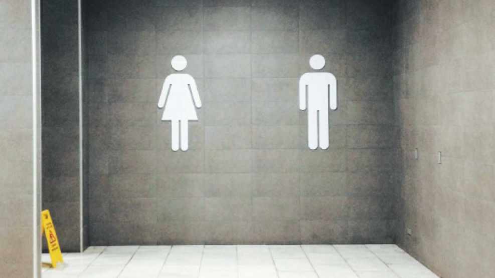 16_11_2025_esi_genero_cedoc_g