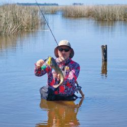El ámbito es una invitación a la buena pesca, sea de costa o vadeando. El sistema está poblado de buenos ejemplares que parecen haber despertado de golpe. El ruido de un señuelo o una boya es muchas veces el detonante de los ataques.