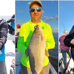 Mientras se trabaja la boga, la actividad en superficie y media agua no pasa desapercibida. Dorados y doradillos se muestran muy activos, tanto con señuelos como con carnadas. 