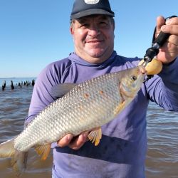 Mientras se trabaja la boga, la actividad en superficie y media agua no pasa desapercibida. Dorados y doradillos se muestran muy activos, tanto con señuelos como con carnadas. 