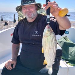 Mientras se trabaja la boga, la actividad en superficie y media agua no pasa desapercibida. Dorados y doradillos se muestran muy activos, tanto con señuelos como con carnadas. 