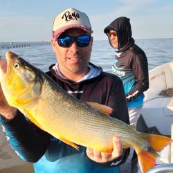 Mientras se trabaja la boga, la actividad en superficie y media agua no pasa desapercibida. Dorados y doradillos se muestran muy activos, tanto con señuelos como con carnadas. 