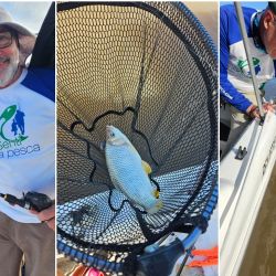 Todo indica que la temporada de bogas, ya con el calor firme, será mucho mejor que la anterior, que dejó gusto a poco.