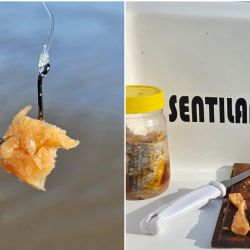 Todo indica que la temporada de bogas, ya con el calor firme, será mucho mejor que la anterior, que dejó gusto a poco.