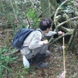 El hallazgo fue posible gracias a las cámaras trampas.