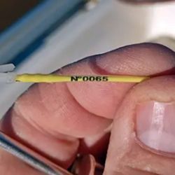 La participación ciudadana es clave: cualquier persona que capture una raya marcada puede enviar los datos por Instagram, siempre manteniendo la etiqueta colocada para permitir el seguimiento.